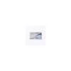 Baltic Test Prop 100mg (Testosterone Propionate)